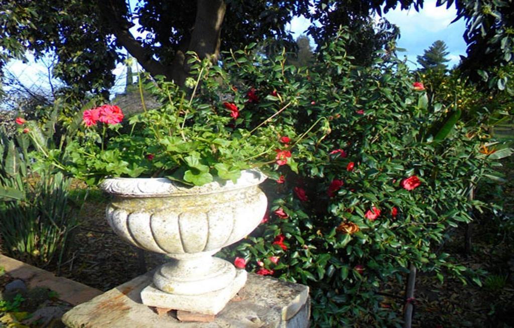 Bed and Breakfast Baglio Delle Rose à Giarre Extérieur photo